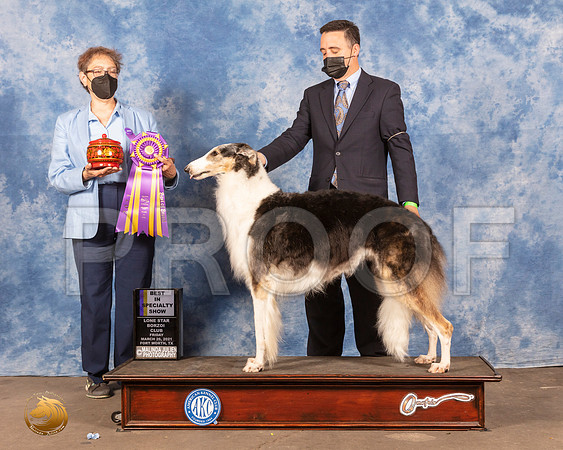 Borzoi #6 Fri BOB Judge Sandra MooreMMJ_0159e_FWKC21-HR3