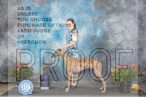 Greyhound #5 Sun BOBOHBOB Judge Christine Martinez__JP_5937_San Antonio_2024_HR3