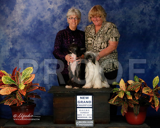 CC-9481-NormNov2013-HR