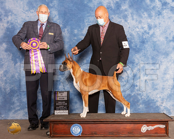 Boxer #30 Fri BISS Judge Brian MeyerMMJ_0511_FWKC21-HR3