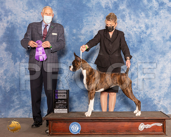 Boxer #48 Fri WB Judge Brian MeyerMMJ_0518_FWKC21-HR3