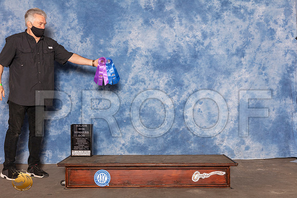Rhodesian Ridgeback #9 Fri WB Judge Linda ClarkMMJ_0444_FWKC21-HR3