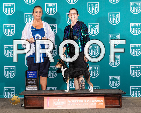 Rat Terrier #158 Sat G1 Judge Valerie PiltzMJP_9023_WA2023_HR3