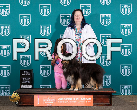 Shetland Sheepdog #284 Sat JRMJP_8773_WA2023_HR3