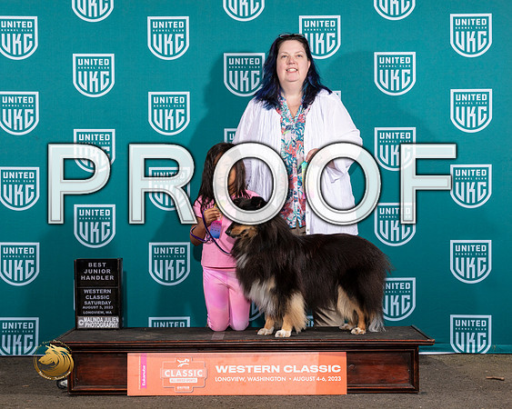 Shetland Sheepdog #284 Sat JRMJP_8776_WA2023_HR3