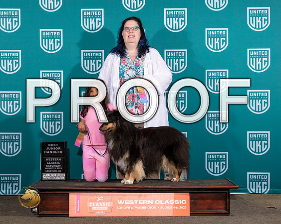 Shetland Sheepdog #284 Sat JRMJP_8782_WA2023_HR3