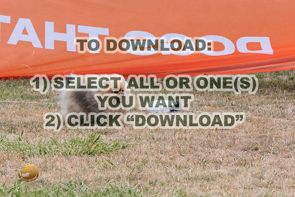 PC DASH PomeranianJJL_3240_WA2023_HR3