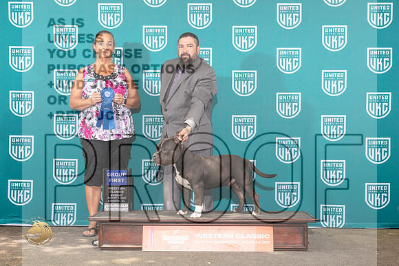 American Bully #420 Sun ValMJP_9214_WA2023_HR3