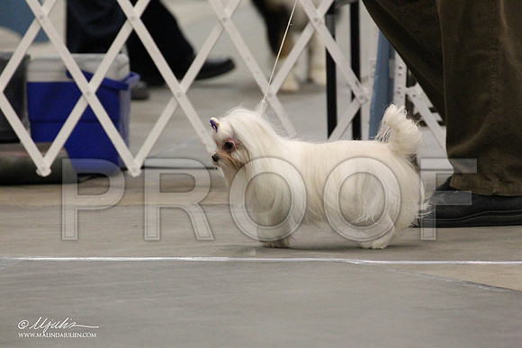 IMG_7923-Abilene2011-HR3