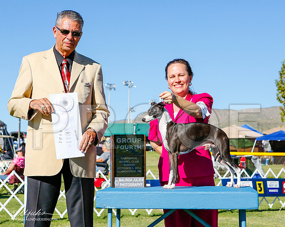 _ST_3335-2-AlamogordoOct2014-HR3