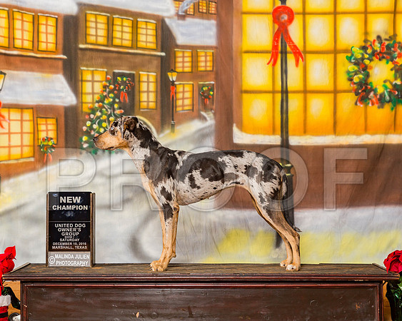 _ST_1699-MrshllDec2016©JulienLambertPhoto.com-HR3