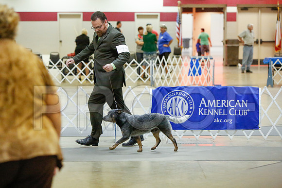 _JJ_2803-AmarilloSept2014-HR3