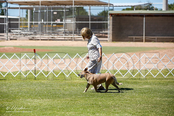 _JN_8916-AlamogordoOct2014-HR3