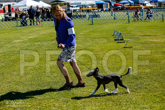 _JJ_5358-AlamogordoOct2014-HR3