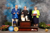 Havanese #5 Sat G1 Judge Michael Canalizo