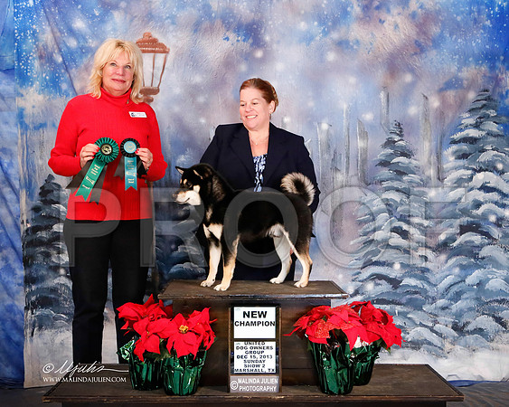 shib-7113-MrshlDec13-HR