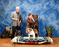 Bulldog #55 Sat BOB +A2