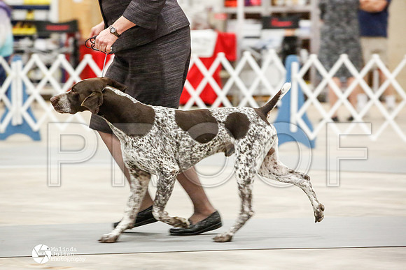 _JN_0803-AblnMay2014-web