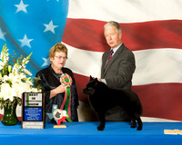 #135 BISweeps TUES Rose Ellen Stone & JoAnn Giovinetti & Krista Nuovo Agent Dennis Collins Judge Judith Brown
