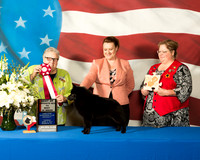 #101 BOS Tues Kristen Henry Susan Woodliffe Kellie Miller Agent Jduge Denny Mounce