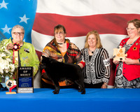#117 AOM Tues Sara Name Gary & Vicki  Hester Judge Denny Mounce