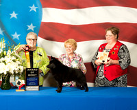 #93 AOM Tues Dara WIlcox Judge Denny Mounce
