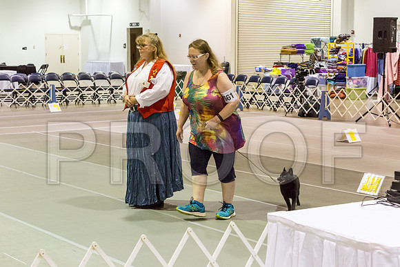 _JJ_2543-SchipMar2017-web