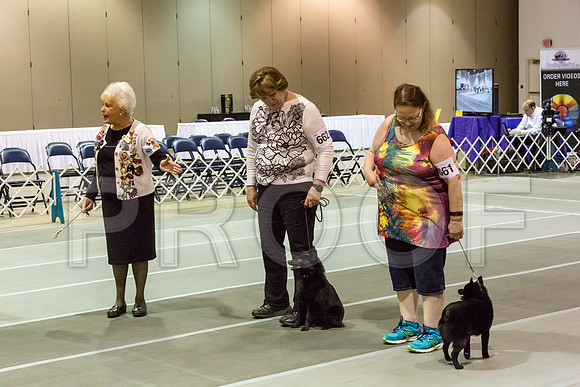 _JJ_2637-SchipMar2017-web