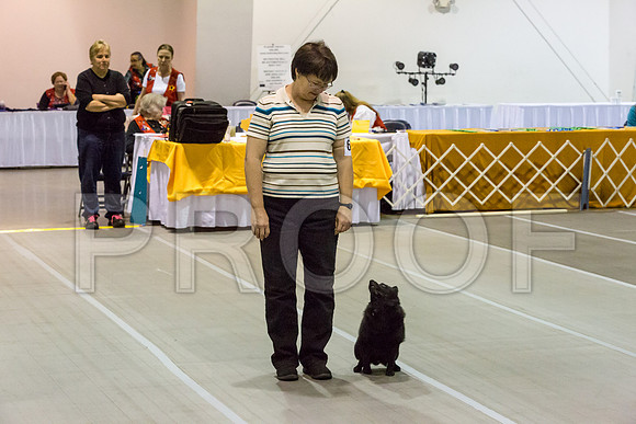 _JJ_2363-SchipMar2017-web