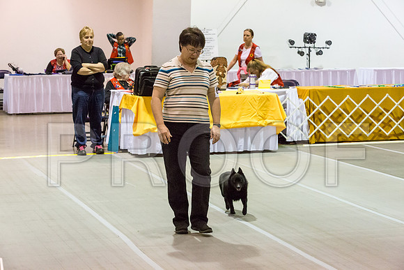 _JJ_2361-SchipMar2017-web