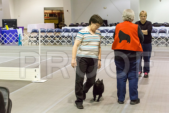 _JJ_2366-SchipMar2017-web