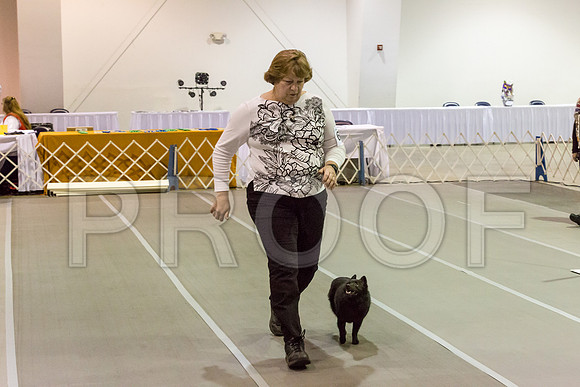 _JJ_2258-SchipMar2017-web