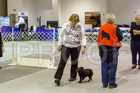 _JJ_2313-SchipMar2017-web