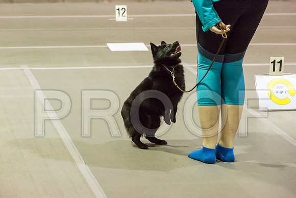 _JJ_2781-SchipMar2017-web