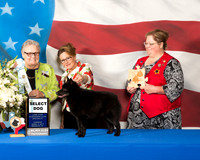 #109 SD Tues Debra Decker Maggie Pryor Judge Denny Mounce