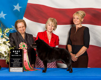 #139 Best in Maturity Wed Amy Helteman Judge Mrs Michele Kasten