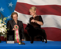 #37 Best in Futurity Krista Nuovo Judge Mrs Michele Kasten