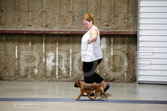 _HR_4033-CnroeJul2014-HR3