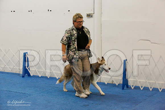 _M3_7859-AddisonHuskyMar2015-HR3