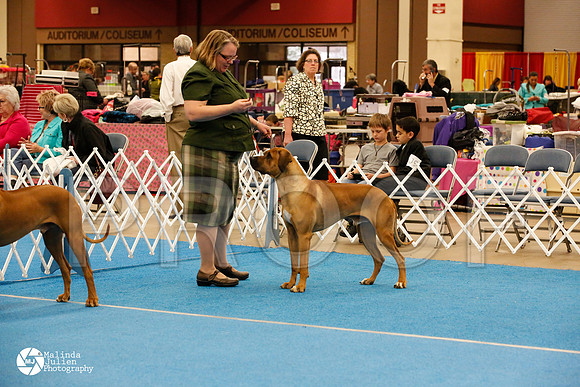 RHOD-0296-FWMar14-HR