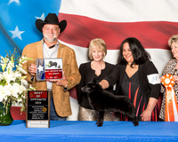 #37 Top 20 BOS Lisa Haines