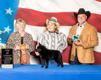 #47 Top 20 Kathy Lytle