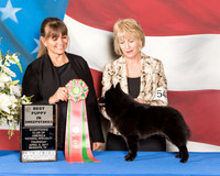 #54 Best Puppy Thurs Amy Halterman Judge Donna Dugosh