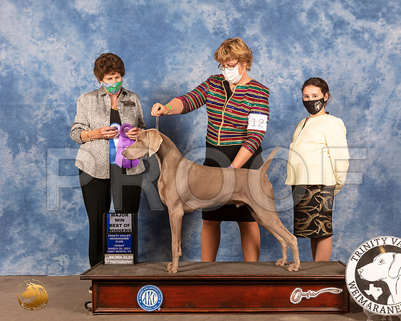 Weimaraner #23 Fri BOW Maj Judge Ann YuhaszMMJ_0837_FWKC21-HR3