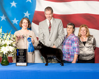 #17 6-9 Sweeps Thurs Charlie Hernandez Judge June Moore