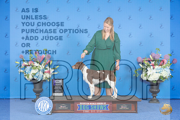 Brittany #28 SAT WB M Judge Ronald Freeman__JP_9988_Houston_2024_HR3