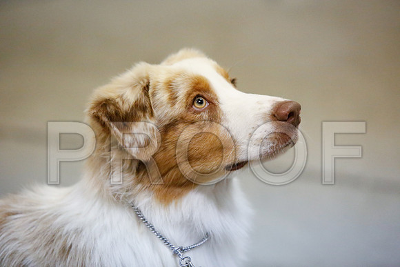 _JJ_2943-AmarilloSept2014-HR3