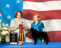 #123 AOM SAT  Denise Fontanetta Judge June Moore