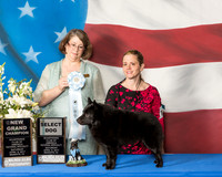#107 SD New GrCh SAT Dawn Barrister Judge June Moore
