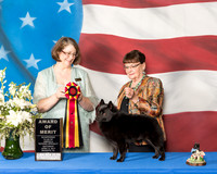 #125 AOM SAT Dara Wilcox Judge June Moore